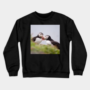 Bonding moment Crewneck Sweatshirt